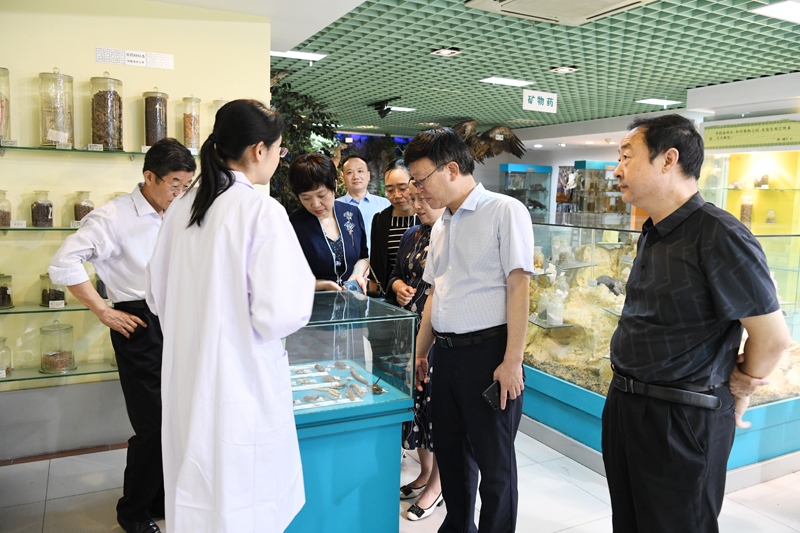 党委书记柳明伟调研孔明校区